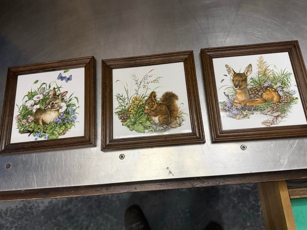 Tegels met afbeelding  van dieren, Ophalen, Zo goed als nieuw