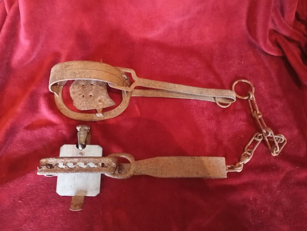 Lot de pièges ancien, Enlèvement