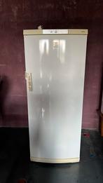 Diepvries AEG arctis, Congélateur, 160 cm ou plus, Enlèvement, Utilisé