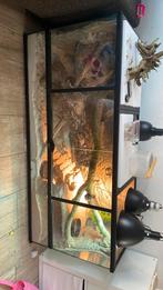 Terrarium, Enlèvement, Comme neuf