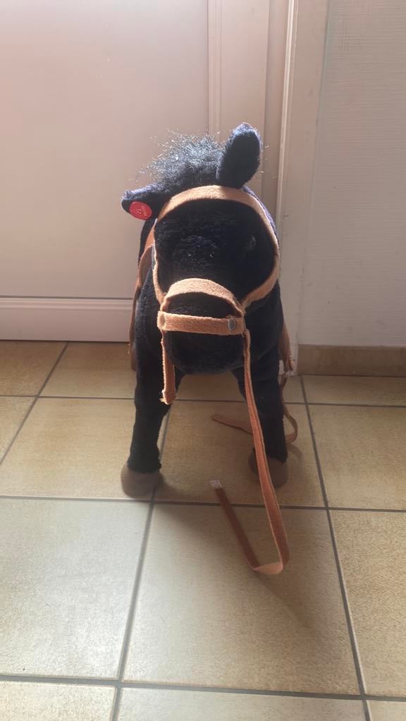 Chevaux jouets pour enfants, Enlèvement, Comme neuf