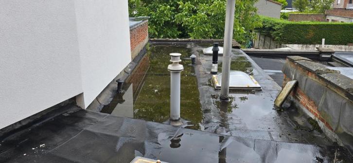 dakdekker, Services & Professionnels, Couvreurs & Chaumiers