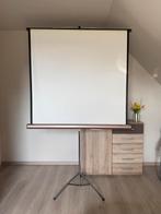 Écran de projection Perlux, TV, Hi-fi & Vidéo, Enlèvement, Utilisé