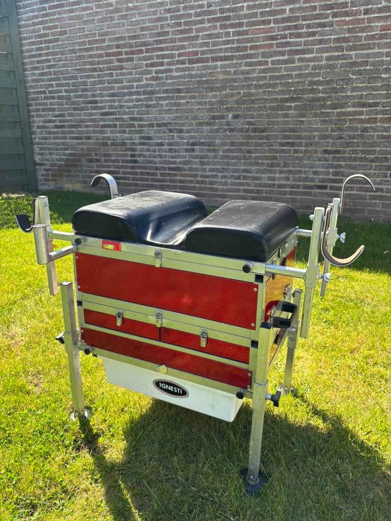 Visbak Ignesti, Enlèvement, Comme neuf