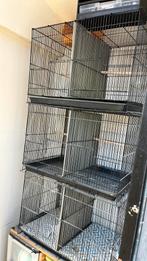 Cages d’élevage pour oiseaux – lot de 3, Animaux & Accessoires, Enlèvement, Comme neuf