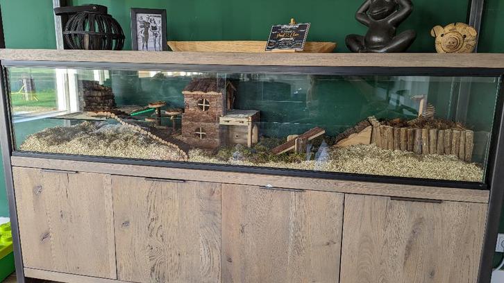 Glazen hamsterkooi maatwerk met schuifruiten, Animaux & Accessoires, Rongeurs & Lapins | Cages & Clapiers, Neuf, Niche, Moins de 60 cm