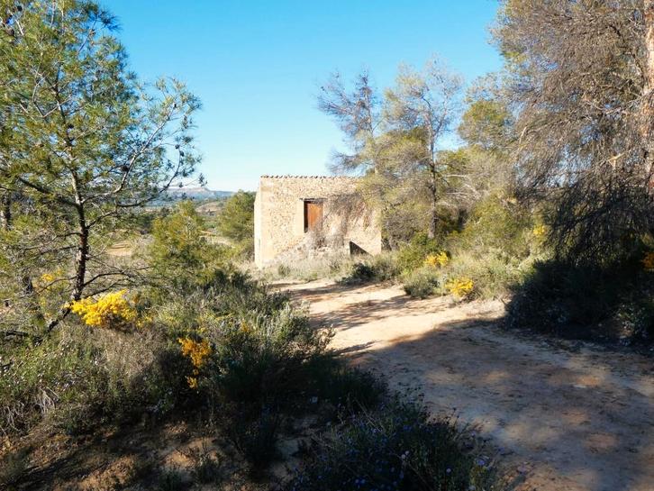 Finca in Batea (Catalogne, Espagne) - 1110, Immo, Étranger, Espagne, Autres types, Campagne