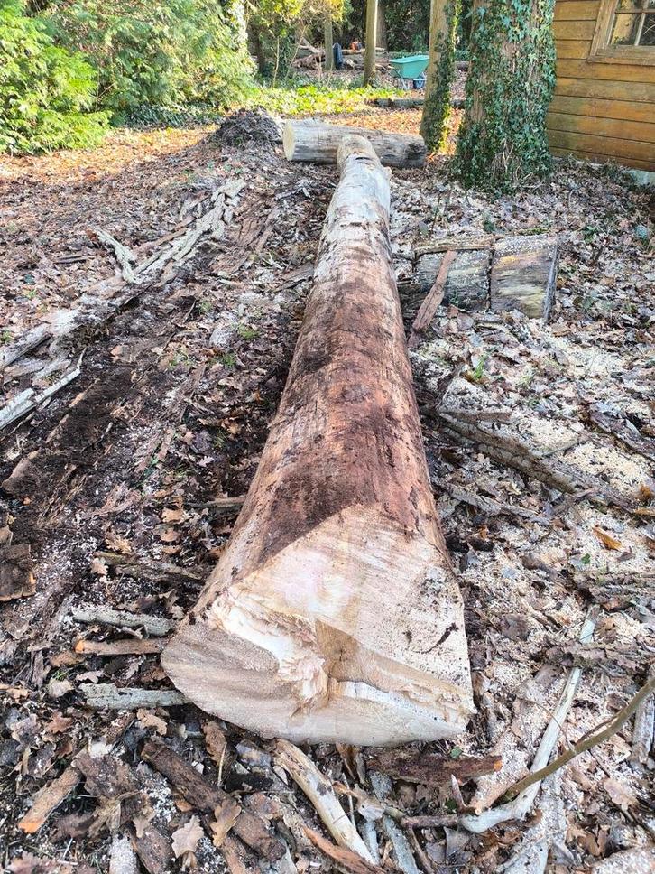 Hout / boomstammen te klieven, Tuin en Terras, Palen, Balken en Planken, Ophalen