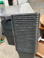 Pots de fleurs, Kunststof, Vierkant, Nieuw, Minder dan 40 cm