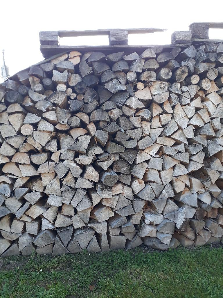Bois de chauffage, Jardin & Terrasse, Bois de chauffage, 3 à 6 m³, Enlèvement, Bûches