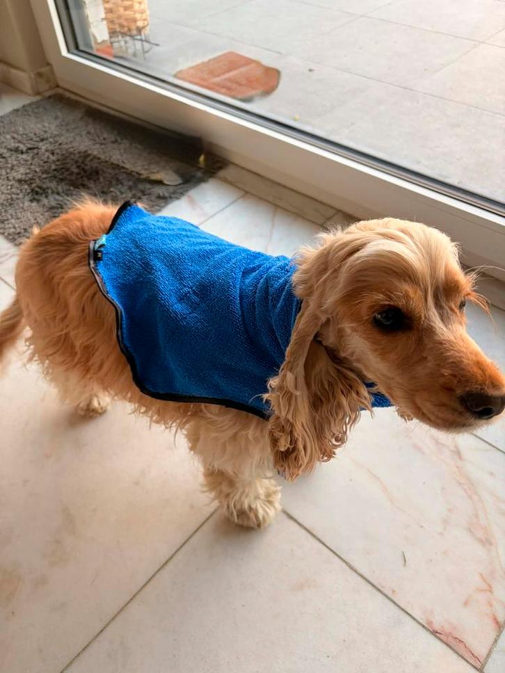 Duvo+  badjas voor honden, Dieren en Toebehoren, Hondenkleding, Zo goed als nieuw, Ophalen of Verzenden