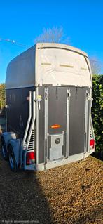BOECKMANN 1,5 paardentrailer, Ophalen, Gebruikt, Hout, 1½-paards trailer