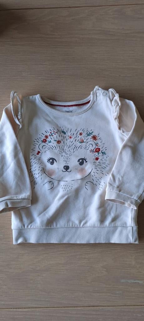 Pullover maat 80, Ophalen