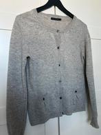 RIVER WOODS grijze vest maat 38, Kleding | Dames, Ophalen of Verzenden, Zo goed als nieuw, Maat 38/40 (M), Grijs