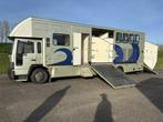 1993 Volvo FL 612 Vrachtwagen paardentrailer, Auto's, Vrachtwagens, Overige brandstoffen, Bedrijf, Volvo, Te koop