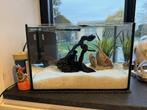 Aquarium, Dieren en Toebehoren, Ophalen, Gebruikt, Leeg aquarium