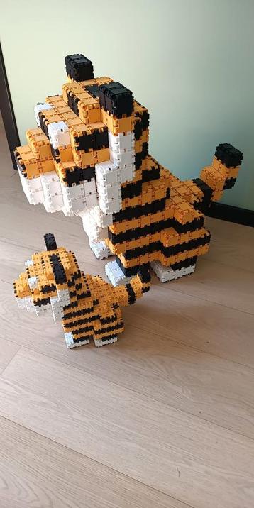 Clics tijger 30 cm en 60 cm beschikbaar voor biedingen