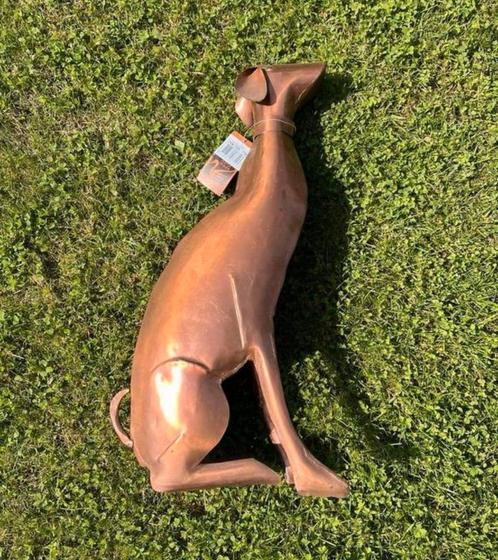Windhond beeld honden greyhound hazewind whippet galgo 50 cm, Collections, Statues & Figurines, Neuf, Enlèvement ou Envoi