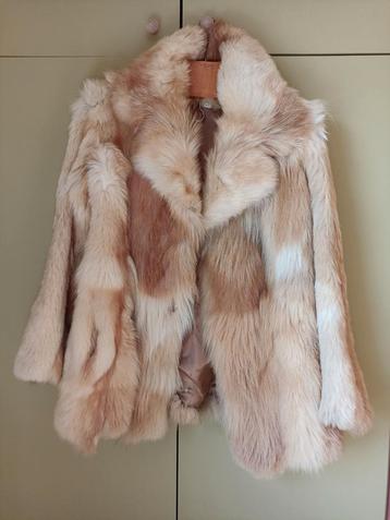 Veste femme en fourrure de renard véritable taille 40 beschikbaar voor biedingen