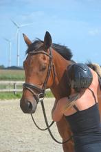 Lieve brave sociale ruin, Ruin