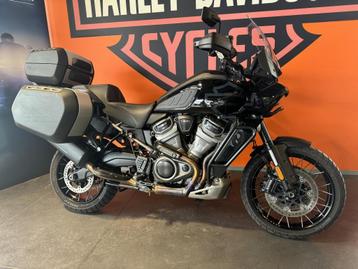 Harley-Davidson Tour Pan america s disponible aux enchères