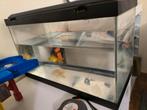 Aquarium 20L + poissons + accessoires, Animaux & Accessoires, Enlèvement, Comme neuf, Aquarium vide