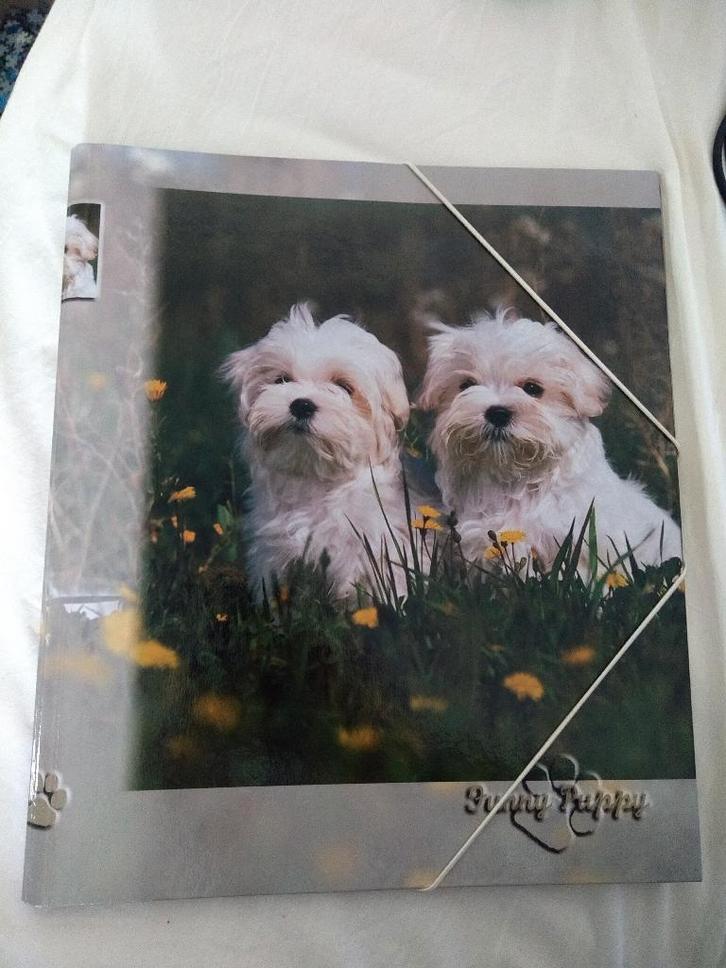 Map met elastieken, Diversen, Schoolbenodigdheden, Gebruikt, Ophalen of Verzenden