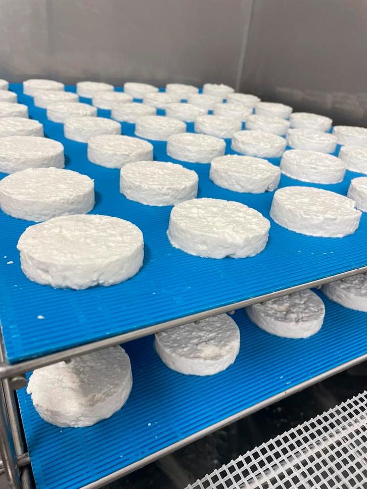 Vormen om kaas te maken, Articles professionnels, Horeca | Équipement de cuisine, Enlèvement