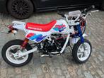 Honda Monkey Baja Replica 125cc, Ophalen