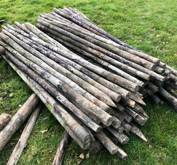 Houten weide palen 250cm x 6 cm, Tuin en Terras, Palen, Balken en Planken, Gebruikt, Palen, 250 cm of meer, Ophalen