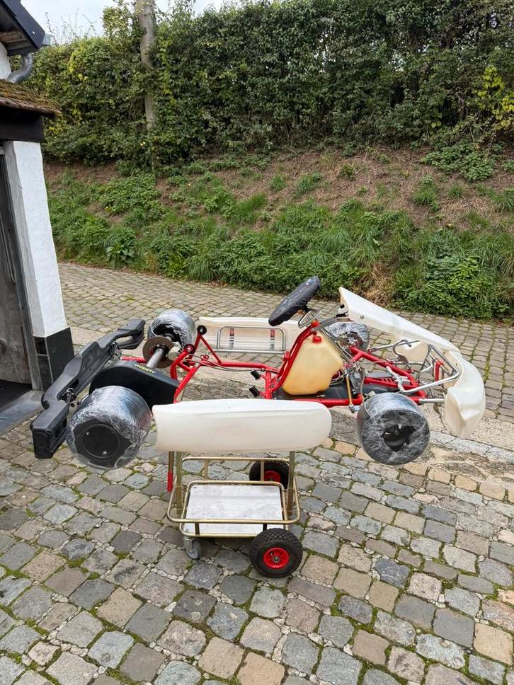 Tony Kart Karting/gerenoveerde IAME KA100-motor, Sport en Fitness, Karting, Zo goed als nieuw, Kart, Ophalen