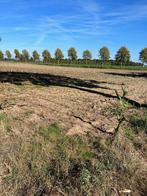 Landbouwgrond te koop in Weelde (Ravels), Immo, Gronden en Bouwgronden, Ravels, Verkoop zonder makelaar, 1500 m² of meer