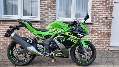 Kawasaki Ninja 125 - ABS - 2020, Motoren, Motoren | Kawasaki, Particulier, 11 kW of minder, 1 cilinder, Ophalen