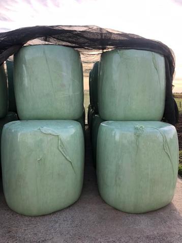 grote maisbalen 75€ beschikbaar voor biedingen