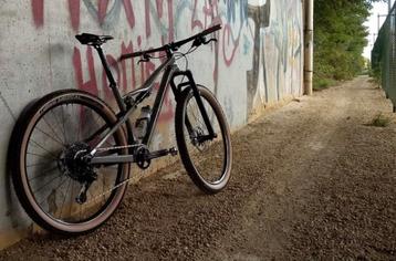 BH Lynx custom build, maat Small beschikbaar voor biedingen