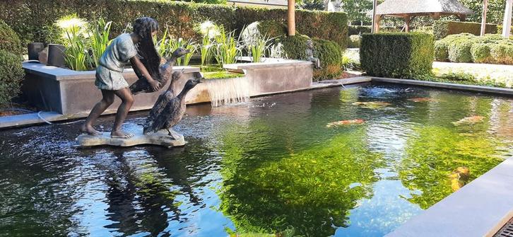 PREMIUM   ZWEMBAD. ROBOT. DOLPHIN LIBERTY, Tuin en Terras, Zwembad-toebehoren, Ophalen