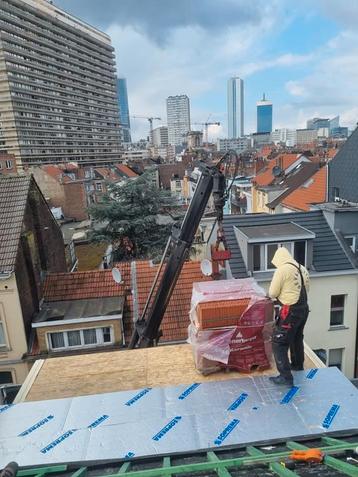 Dakrenovatie, Doe-het-zelf en Bouw, Ophalen, Zo goed als nieuw, Dakpannen