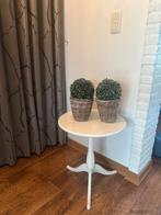 2x rieten bloempot met kunt buxus bol samen €15,-, Ophalen, Gebruikt, Binnen