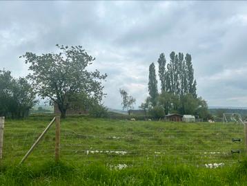 Terrain à bâtir à Izier (Durbuy) 13 ares orienté plein sud, Izier, Ventes sans courtier, 1000 à 1500 m²