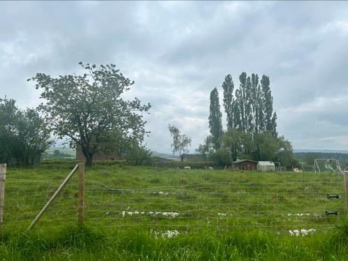Bouwgrond Izier (Durbuy) 13are11 zuidgericht, Immo, Gronden en Bouwgronden, 1000 tot 1500 m², Verkoop zonder makelaar