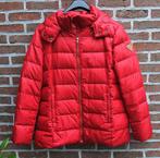 Mooie, warme donsjas met kap - Caroll - large, Kleding | Dames, Jassen | Winter, Caroll, Maat 42/44 (L), Ophalen of Verzenden