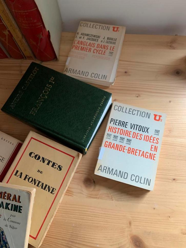 Gros lot de 49 livres, Divers, Lots de brocante, Utilisé, Enlèvement ou Envoi