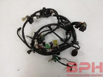 Kabelboom Suzuki GSX-R 1000 K3 - K4 2003 t/m 2004 kabel boom beschikbaar voor biedingen