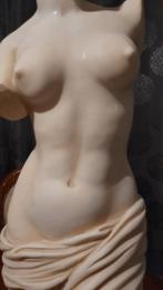 Prachtig naaktbeeld gesigneerd Venus de Milo, Antiek en Kunst, Ophalen of Verzenden