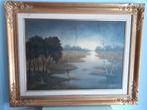 TONY FITELLAER Schilderij "zonsondergang in ven" ? Pr.: € 40, Gebruikt, Ophalen of Verzenden, Schilderij, 75 tot 100 cm