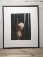Belle photo d'art de nu dans un cadre - signée, Enlèvement