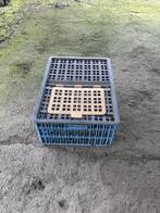 Pluimvee-transportbox in PVC (zeer sterk), Dieren en Toebehoren, Ophalen, Zo goed als nieuw, Kippenhok of Kippenren