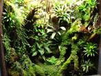 Terrarium of paludarium laten inrichten?, Dieren en Toebehoren, Ophalen, Terrarium of Paludarium