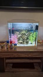 Aquarium ( akvaryum ), Dieren en Toebehoren, Ophalen of Verzenden, Zo goed als nieuw