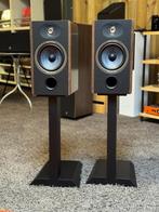 Focal Vestia N1, Ophalen, Gebruikt, Front, Rear of Stereo speakers